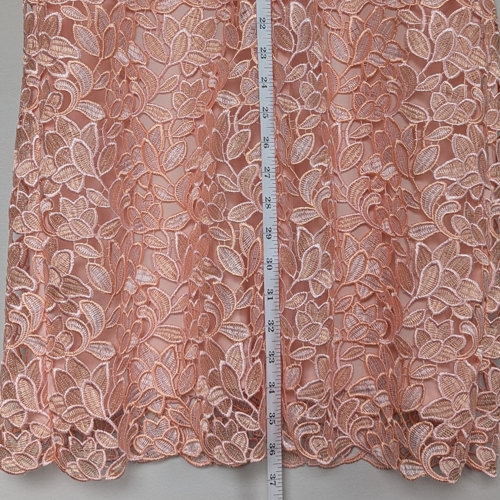 Lauren Ralph Lauren Sleeveless Lace Sheath Dress Peachy Pink Fully Lined - sz 8 - Picture 10 of 11